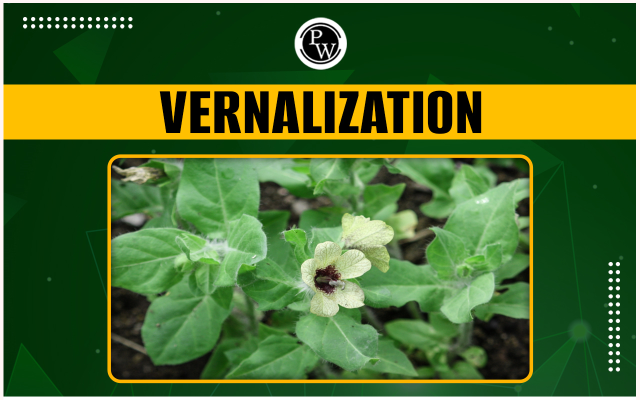 Vernalization