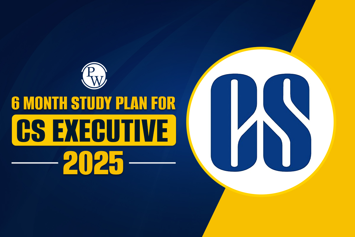 6 Month Study Plan for CS Executive 2025