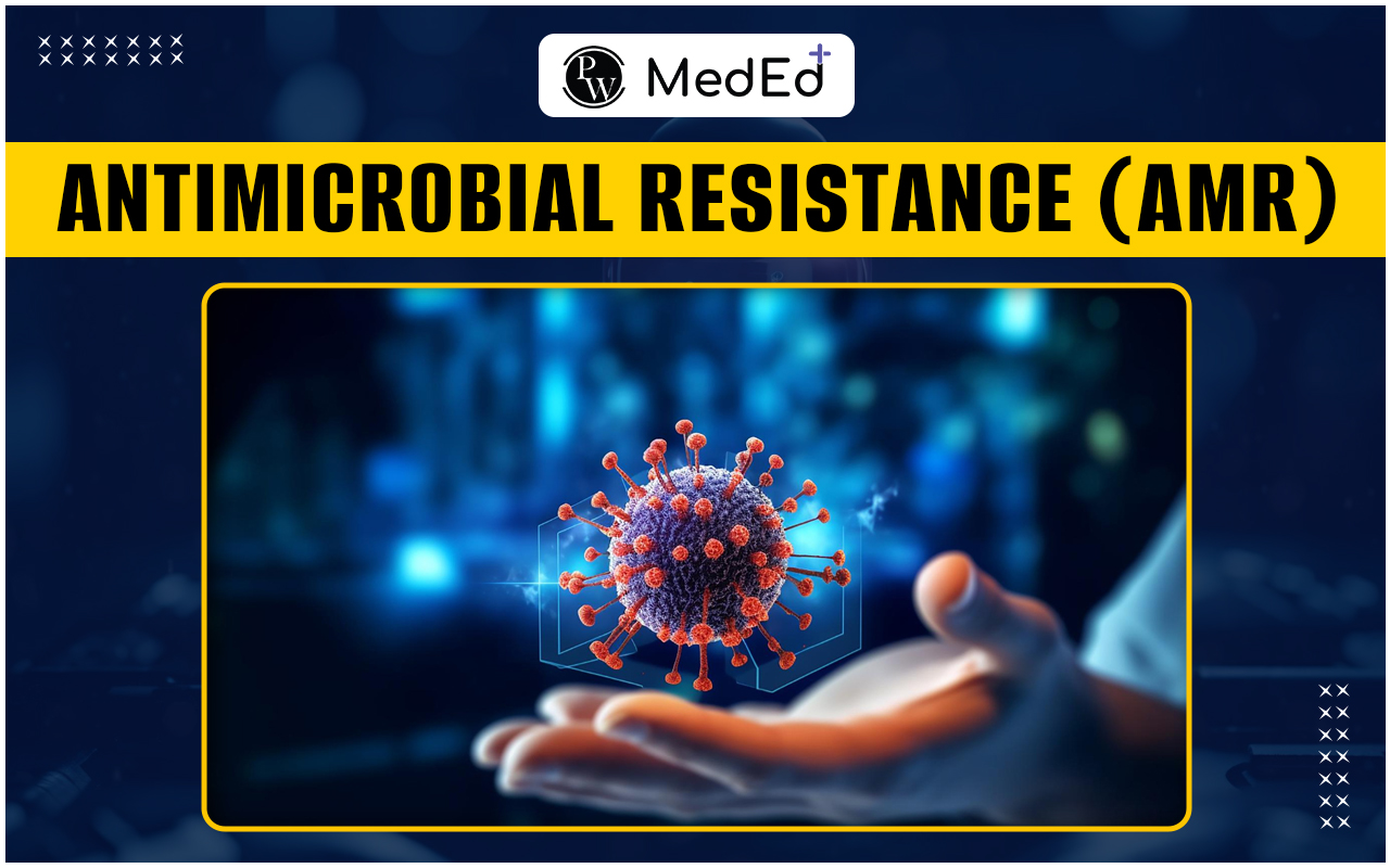 Antimicrobial Resistance Impacts, Treatment, And Prevention Tips