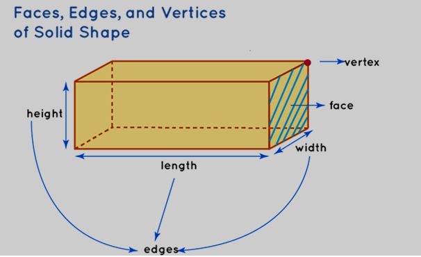 Faces, Edges, and Vertices of Solid Shapes