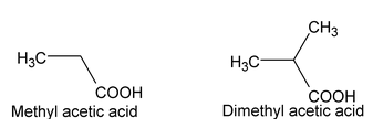 Functional Group