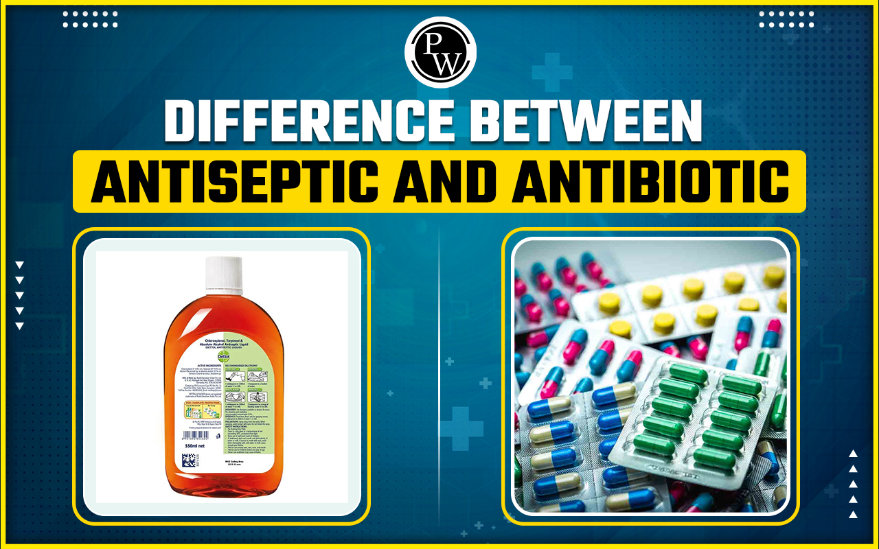 Difference Between Antiseptic and Antibiotic