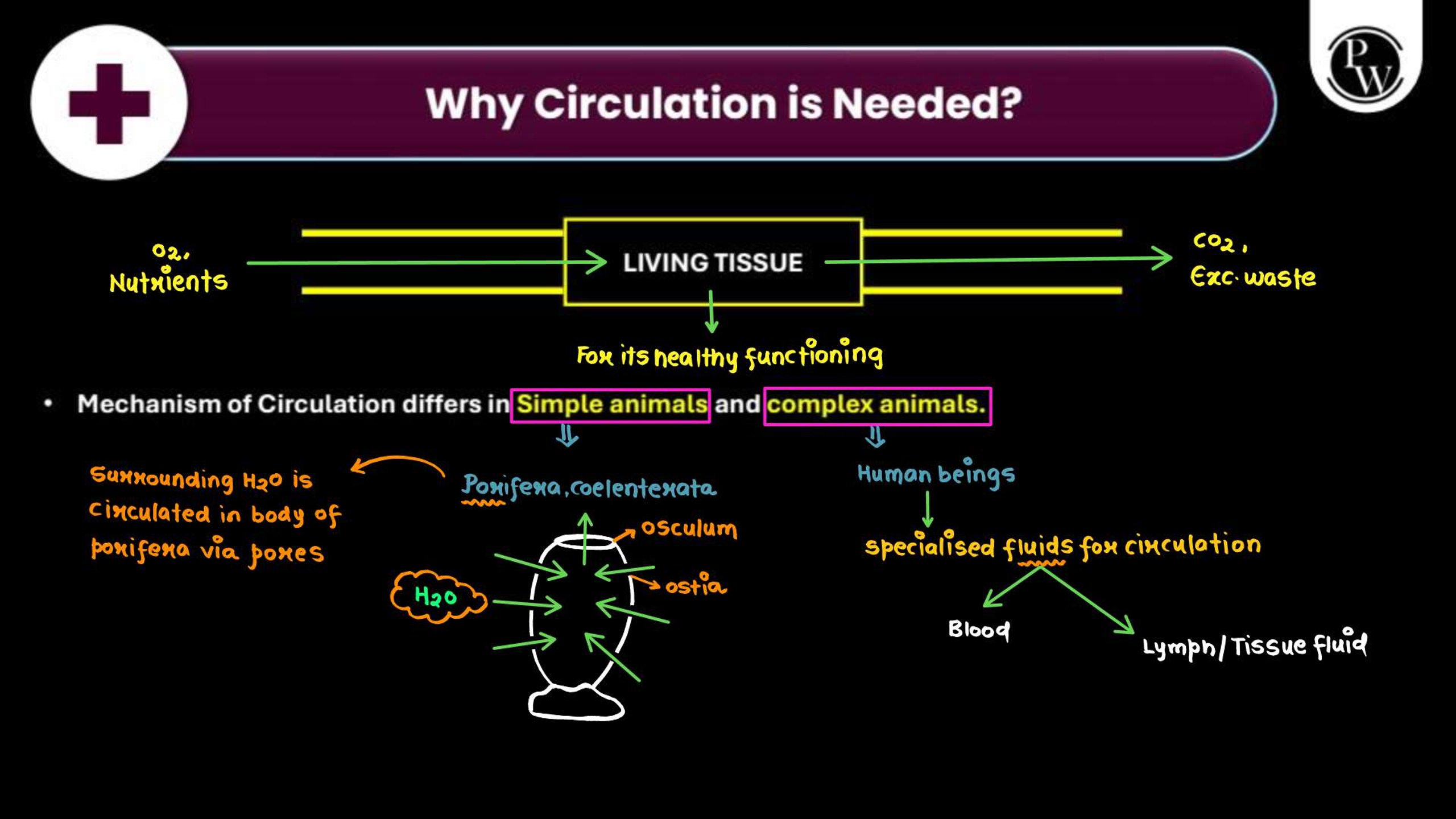 Body Fluids and Circulation NEET Notes