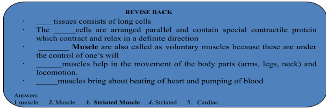 ANIMAL TISSUES