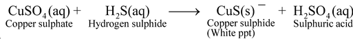 Double Displacement Reactions