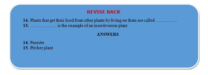 mode in non green plants revision