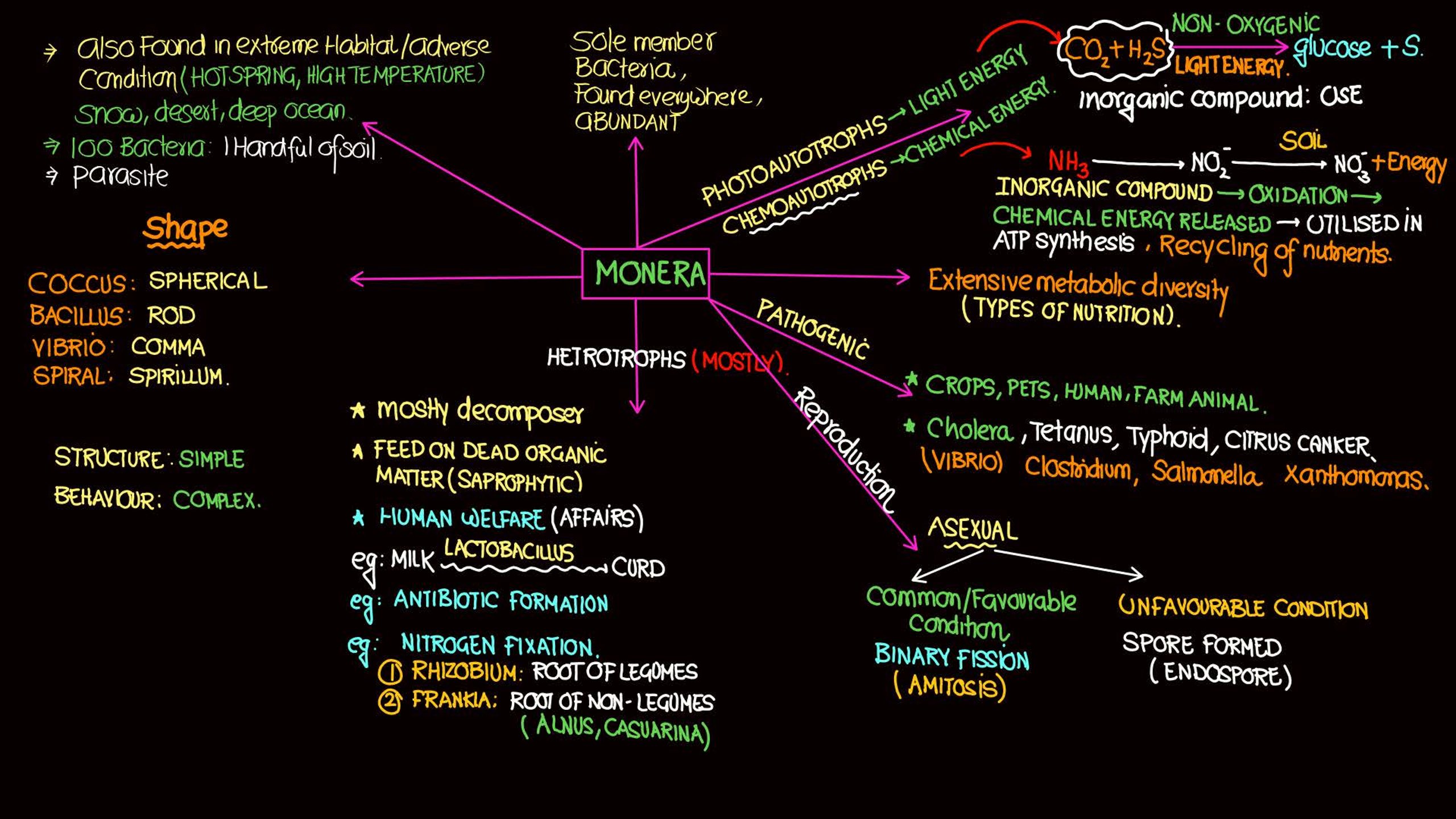 Biological Classification NEET Notes