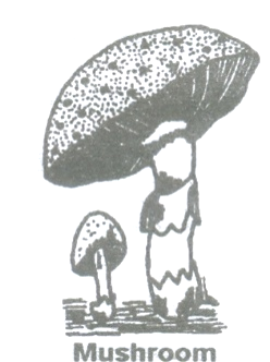 scan0016