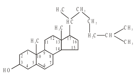 Types Of Lipids