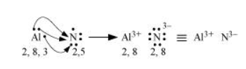 NCERT Solutions for Class 11 Science Chemistry Chapter 4