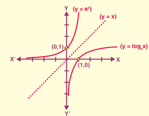 Exponential Function Formula