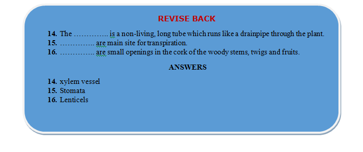 transport system revision