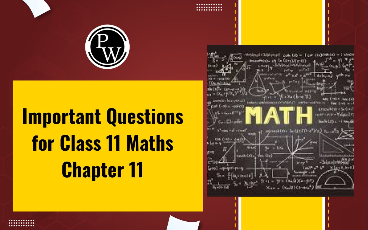 Important Questions for Class 11 Maths Chapter 11