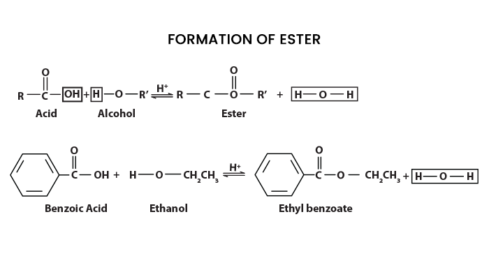 Chemistry articles Formation of Ester