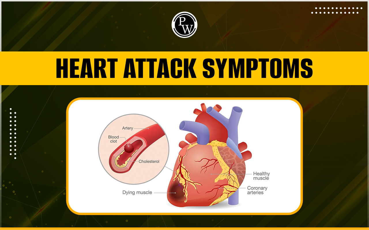 Heart Attack