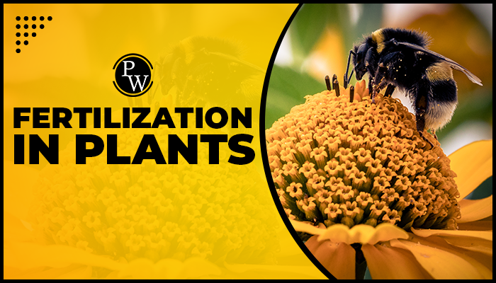 Biology articles Fertilization in Plants