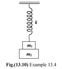 The Spring-Mass System