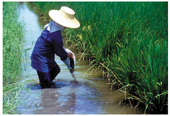 integrated fish culture