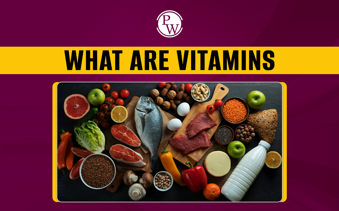 What Are Vitamins, and How Do They Work?