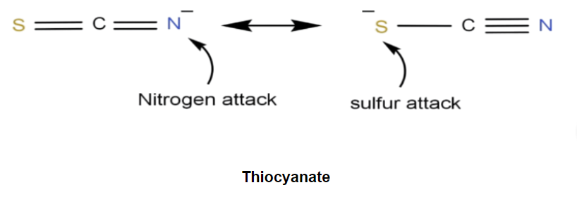 Neutrophile Example -2