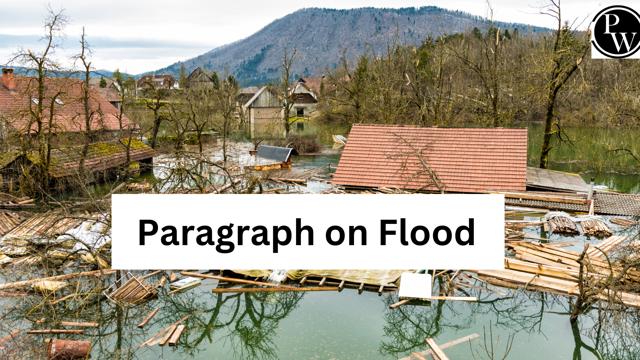Paragraph on Flood