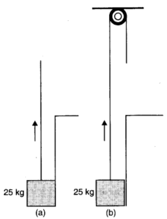 NCERT Solutions for Class 11  Physics Chapter 5 - Laws Of Motion