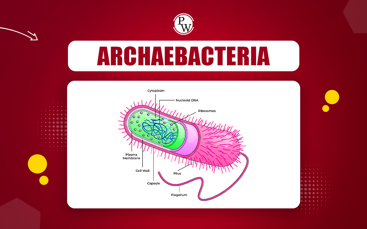 Archaebacteria