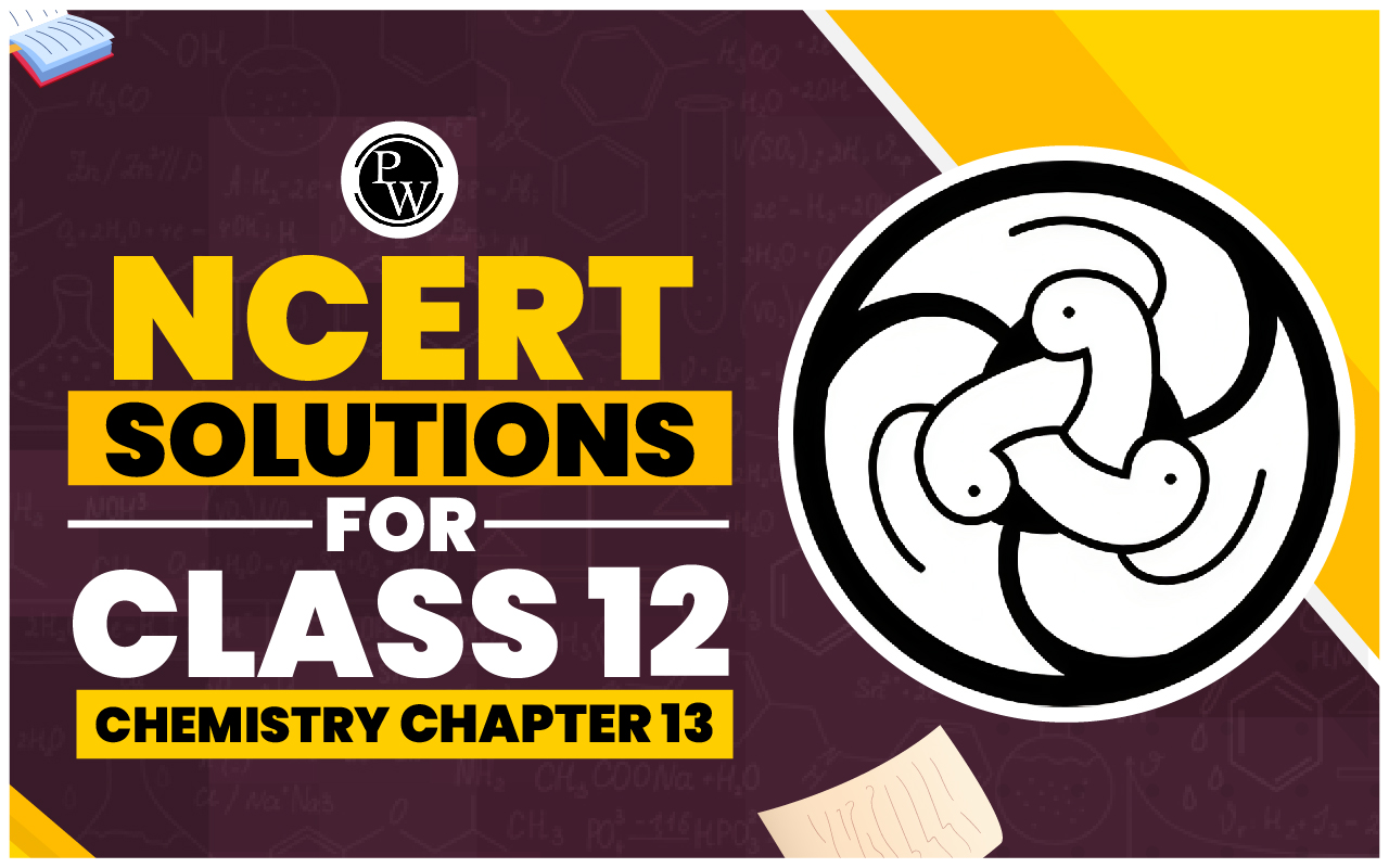 NCERT Solutions for Class 12 Chemistry Chapter 13