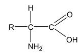Cyanides And Isocyanides 