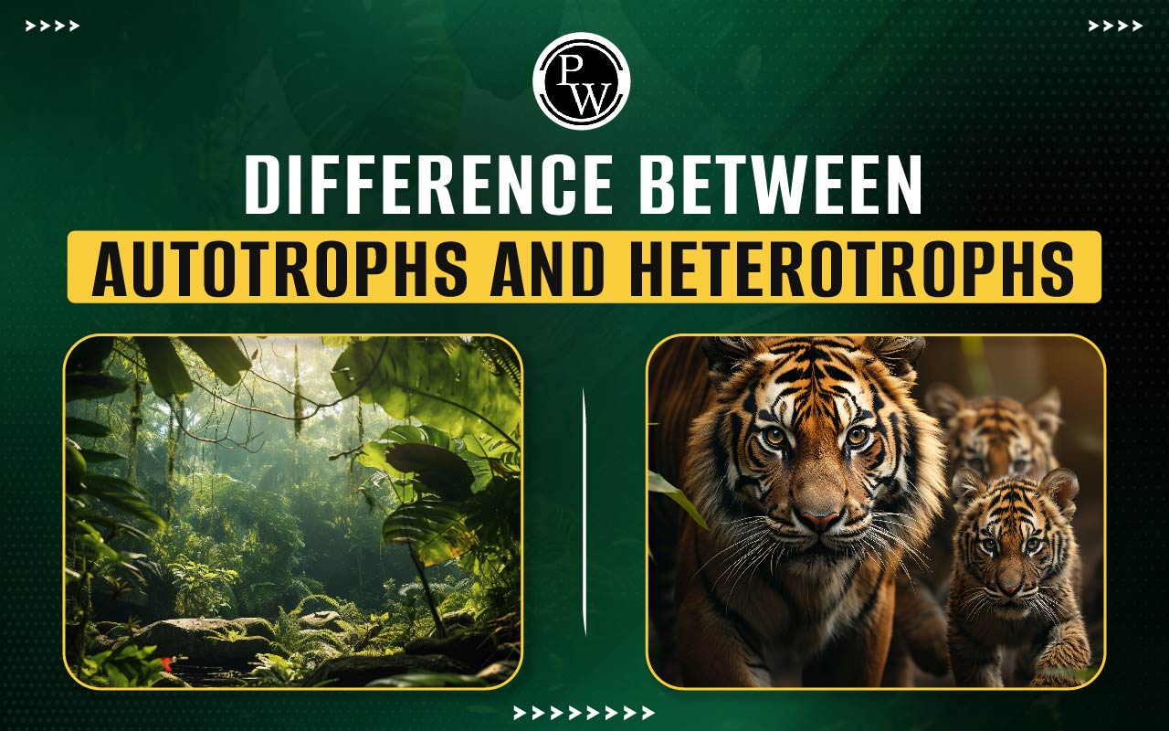 Difference Between Autotrophs and Heterotrophs