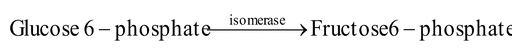 Chemical Nature of Enzymes
