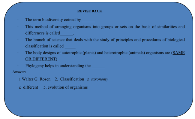 IMPORTANCE OF CLASSIFICATION