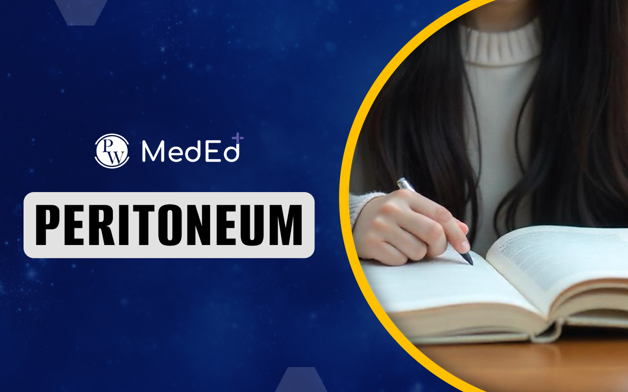 Peritoneum, Anatomy, Function, Location & Definition