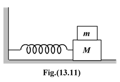 The Spring-Mass System