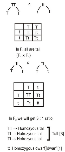 Graphic1.jpg