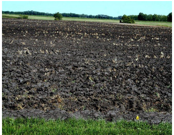 Classification Of Soil