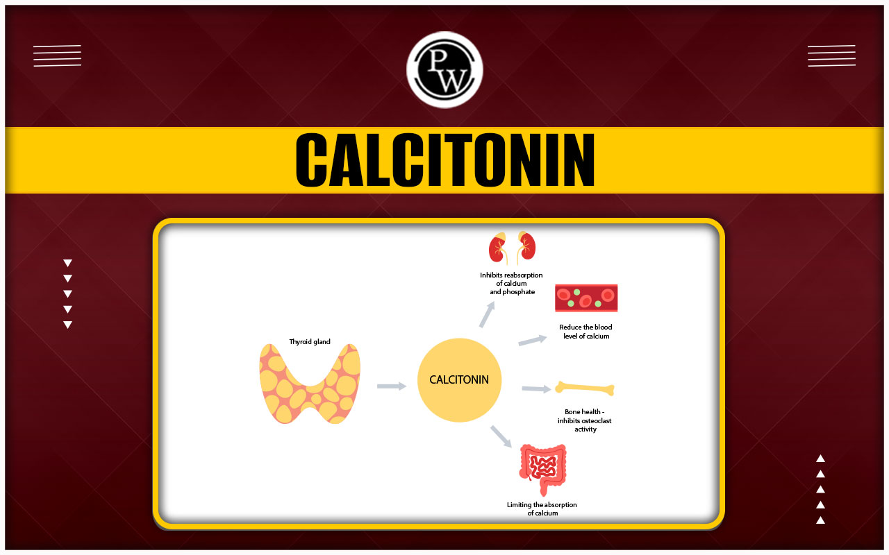 Calcitonin