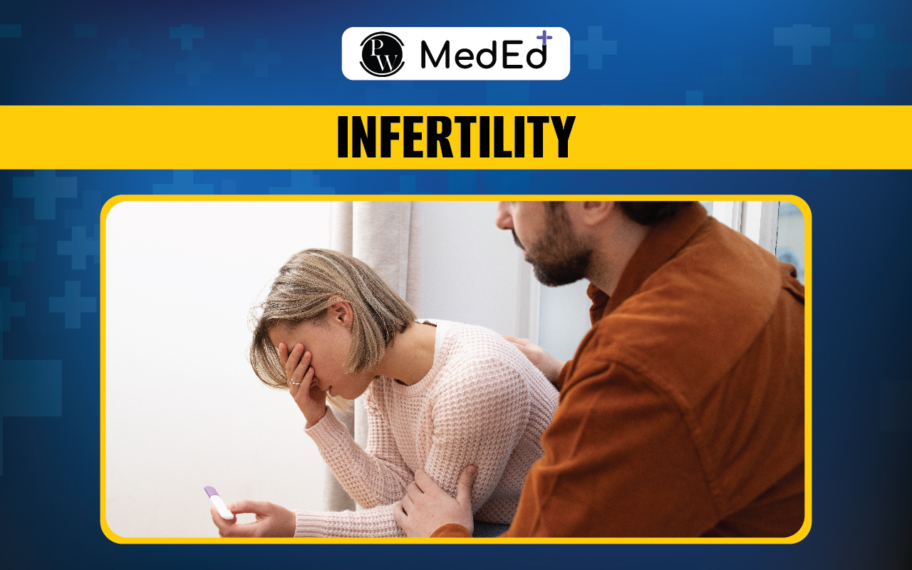Infertility Causes, Risk Factors, Diagnosis, And Treatment Process