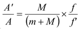 The Spring-Mass System