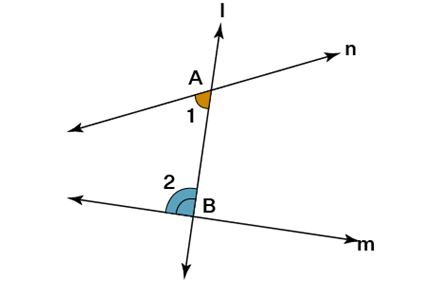 Introduction to Euclid