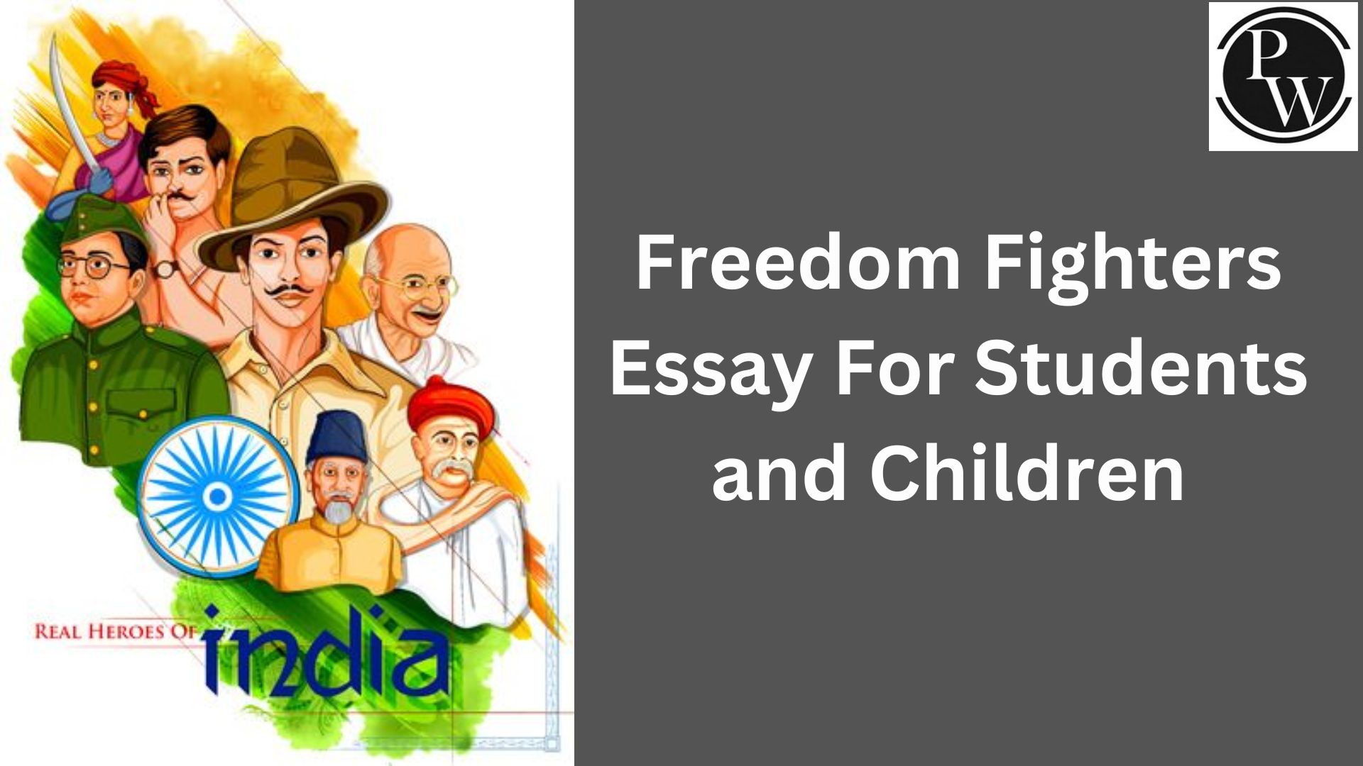 Freedom Fighters Essay