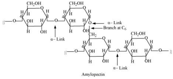 NCERT Solutions for Class 12  Chemistry Chapter 14 - Biomolecules