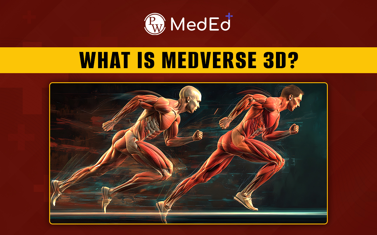 Medverse 3D