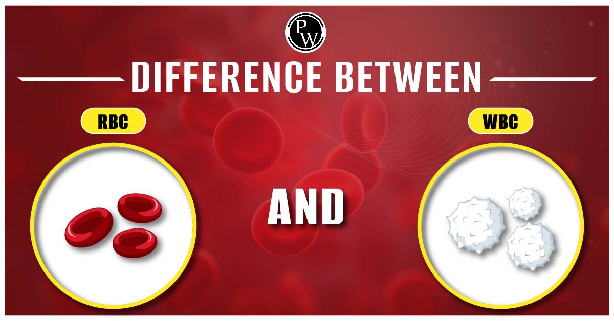 Difference Between RBC And WBC
