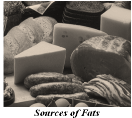 sources of fat