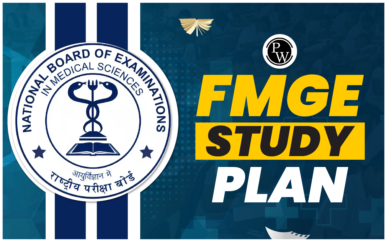 Best Study Plan For FMGE 2024 Get Ready With Experts