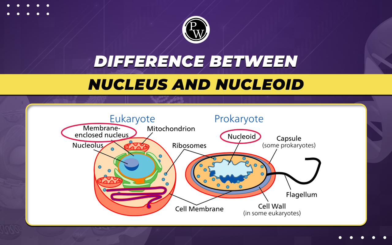 Difference Between Nucleus and Nucleoid
