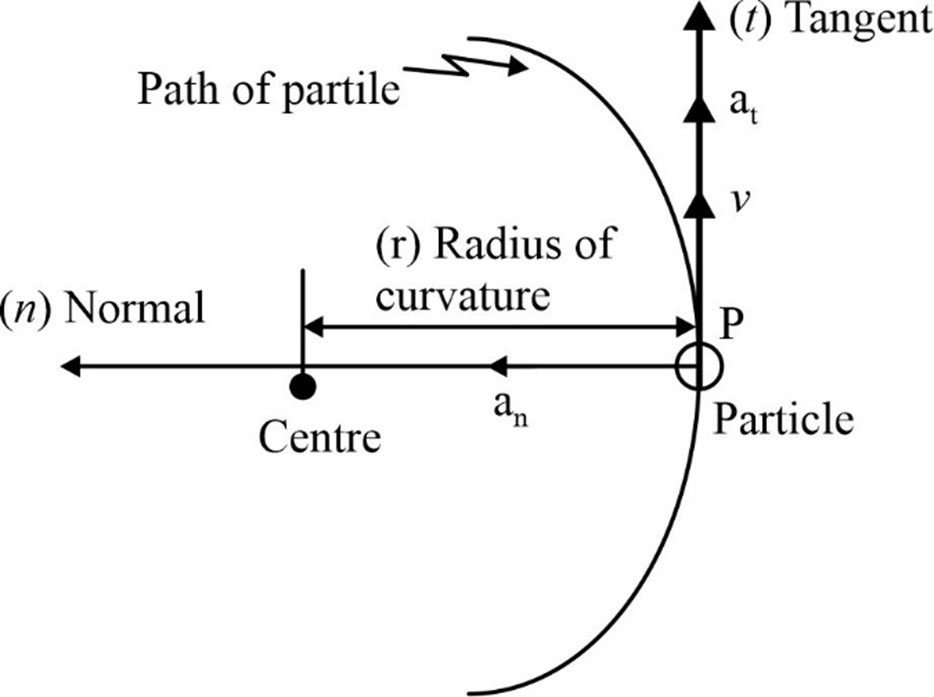 Particle in a curvilinear motion