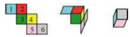 net for a die
