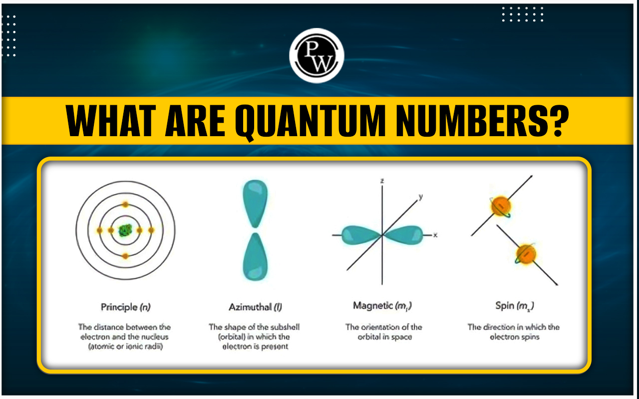 What Are Quantum Numbers